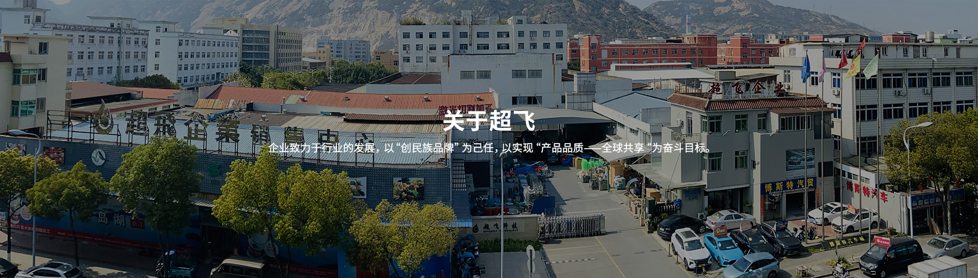 衛(wèi)生級止回閥，快裝閥門廠家
